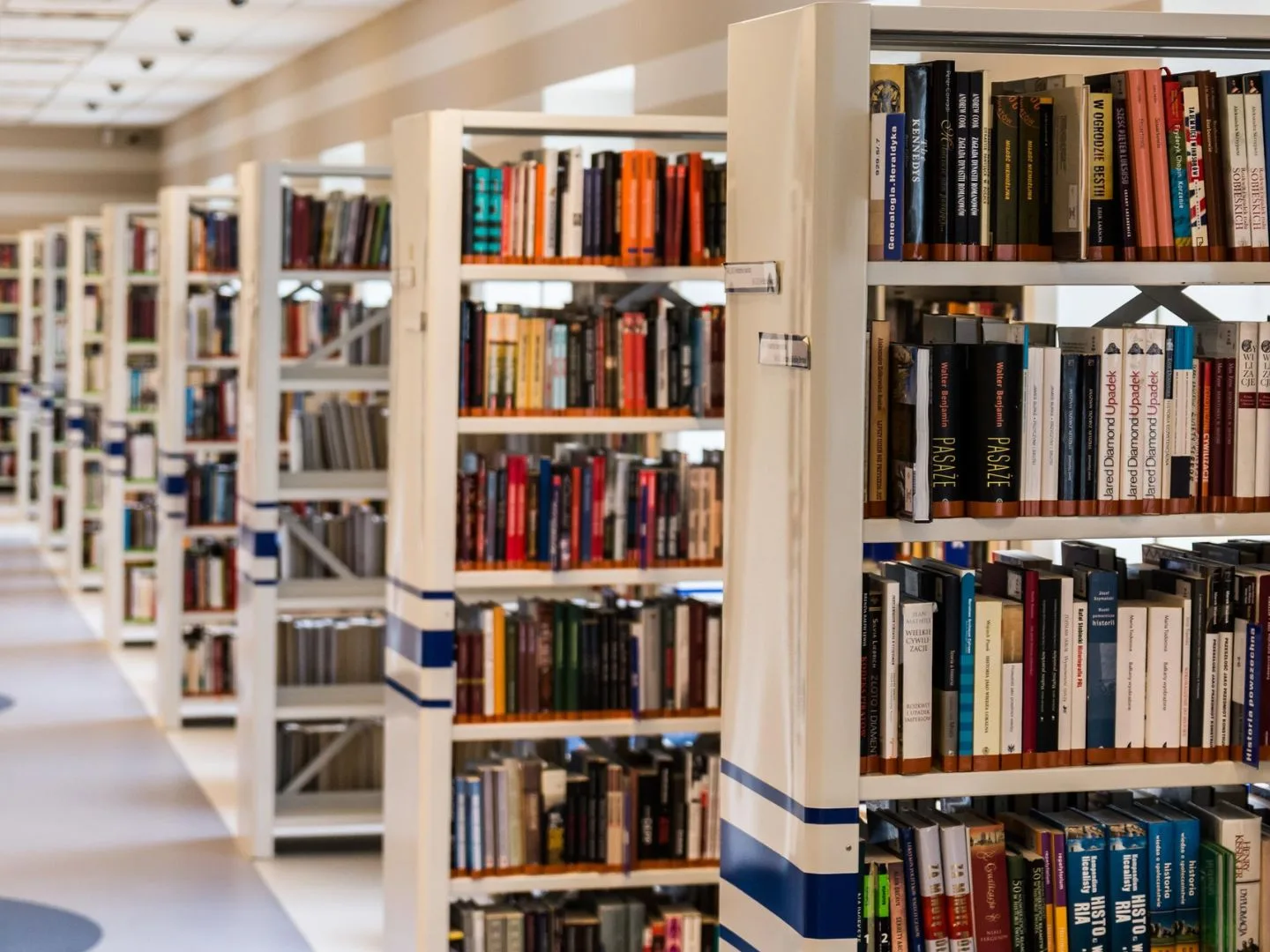 Ace_Business_Library_Shelves